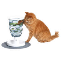 Labyrint CAT IT Design Senses
