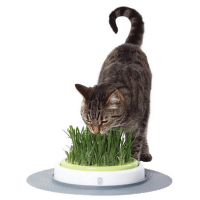 Rotaļlieta kaķiem - CAT IT Design Senses Grass Garden