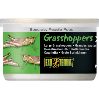 Корм для рептилий - ExoTerra Grasshoppers XL 34g