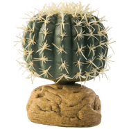 Rastlina EXO TERRA Barrel Cactus malá