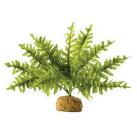 Dekors terārijam - EXO TERRA Boston Fern, small