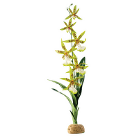 Dekors terārijam - EXO TERRA Spider Orchid