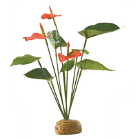 Dekors terārijam – EXO TERRA Anthurium Bush