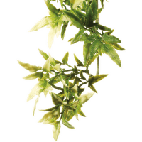 Rostlina EXO TERRA Croton střední 45 cm
