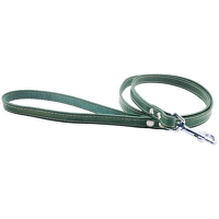 Kožené vodítko Tamer 1,4cm/175cm zelené