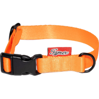 Obojek Tamer Simple 2 cm 24-36 cm oranžový