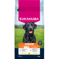 Krmivo Eukanuba Junior Large kura 15kg