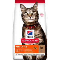 Hill´s Science Plan Feline Adult Lamb & Rice 10kg