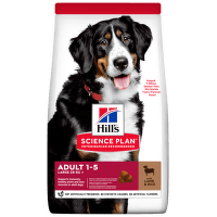Hill´s Science Plan Canine Adult Large Breed Lamb & Rice 14kg