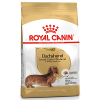 Barība suņiem – Royal Canin Dachshund, 0,5 kg