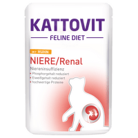 KATT Niere/Renal konz. 85g kura