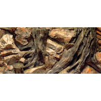Pozadí AQUA EXCELLENT Root 100 x 50 cm