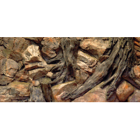 Pozadí AQUA EXCELLENT Root 120 x 50 cm