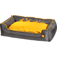 Pelech Kiwi Walker Running Border oranžová/šedá XL 95cm