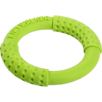 Hračka Kiwi Walker TPR guma kruh zelený 18cm