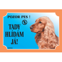 Tabulka Anglicky Kokr zlaty