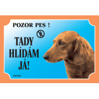 Tabulka Dafiko jezevčík dlouhosrstý