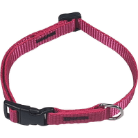 Obojok BaF nylon fuchsiový 35cm