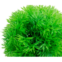 Rostlina JK tráva koule zelená 8cm