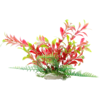 Rostlina JK Ludwigia čer-zel 14-17cm