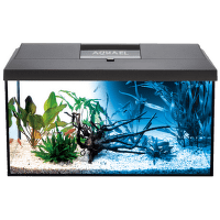 Akvārijs – Aquael LEDDY 60 LED black, 54 l