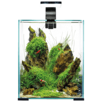 Аквариум – Aquarium set Aquael SHRIMP SMART Day and Night black 25x25x30 см 19 л