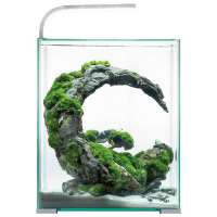 Akvārijs – Aquarium set Aquael SHRIMP SMART Day and Night white 29x29x35 cm 30 l