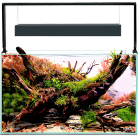 Akvārijs – Aquael aquarium set Ultrascape 60 forest, 64.8 l