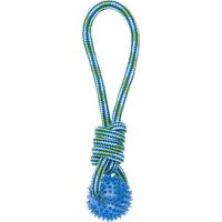 Hračka Have a Pet s loptičkou modro-zelená 32cm