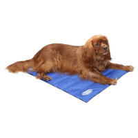 Atvēsinošs paklājiņš – Scruffs Cool Mat (M), 77 x 62 cm