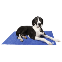 Chladící podložka Scruffs Self - Cooling Mat 120cm