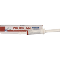 Probican pasta 15 ml