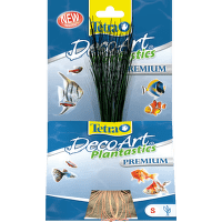 Rostlina TETRA Hairgrass S