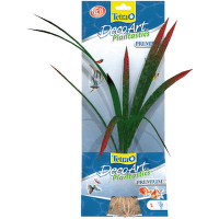 Rastlina TETRA Dragonflame L
