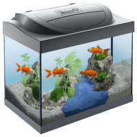 Akvārijs - TETRA Starter Line LED 30l, Goldfish, black