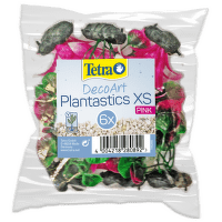 Roślina Tetra Mix różowy XS (6 szt.)