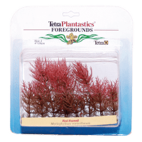 Декоративное растение для аквариума – Tetra Red Foxtail L