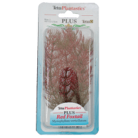 Декоративное растение для аквариума – Tetra Red Foxtail S