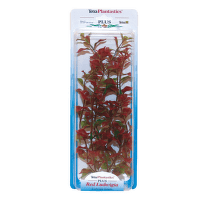 Dekoratīvs augs akvārijam – Tetra Red Ludwigia M