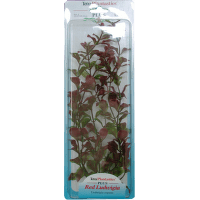 Декоративное растение для аквариума – Tetra Red Ludwigia L