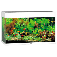 Juwel akvárium Rio LED 125 biele 81 x 36 x 50 cm 125 l