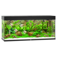 Juwel akvárium set Rio LED 240 čierne 121 x 41 x 55 cm 240 l 