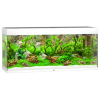 Juwel akvárium set Rio LED 240 biele 121 x 41 x 55 cm 240 l