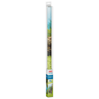 Pozadie sladkovodne obojstr.150*60cm