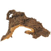Dekoracia Tropical wood L