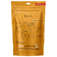 CurePoint CBD pamlsky Recovery L 100 g 