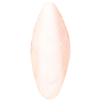 Sēpija putniem - TRIXIE Cuttle Fish Bone, 1 gab.