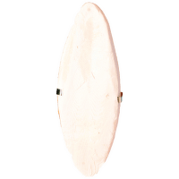 Sēpija putniem - TRIXIE Cuttle Fish Bones, 16 cm
