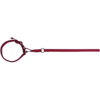 Trixie Vodítko s obojkom 1,2m/42cm červené