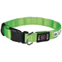 Atstarojošā kakla siksna suņiem - Flash Illuminous Collar USB, S-M, 30-40cm/25mm, zaļa